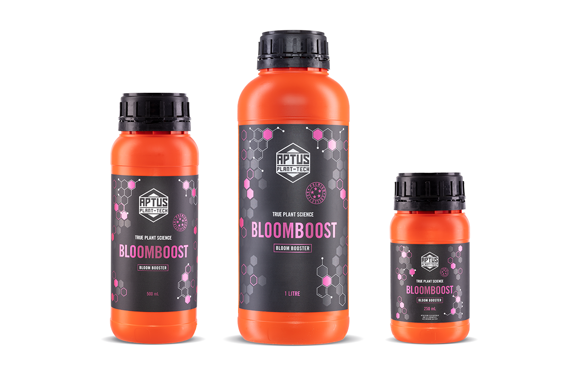 BLOOMBOOST（ブルームブースト）