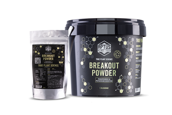 BREAKOUT POWDER（開花促進）