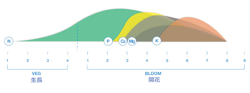 植物の発育段階